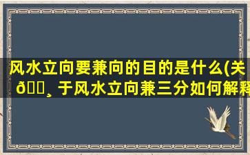 风水立向要兼向的目的是什么(关 🌸 于风水立向兼三分如何解释)
